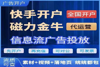 百度竞价运营的挑战与机遇：成功案例探讨